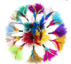 Cat Lures Fun Pack