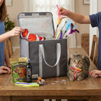 Cat Lures Fun Pack