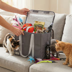 Cat Lures Fun Pack