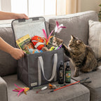 Cat Lures Fun Pack